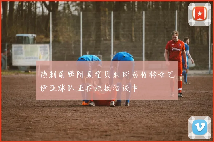 热刺前锋阿莱霍贝利斯或将转会巴伊亚球队正在积极洽谈中